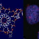 Illustration for article titled Quadruple helix DNA found in living human cells — and it may be linked to cancer